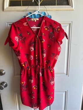 Wishful Park Red Floral Mini Dress
